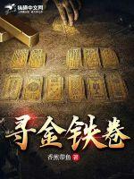 寻金记作文300字左右